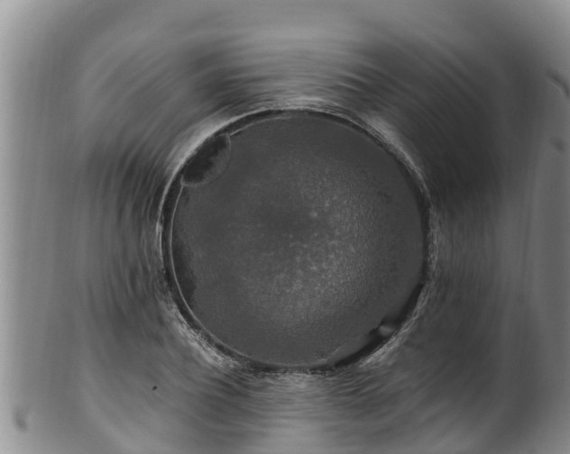 X0000100880932200806271134