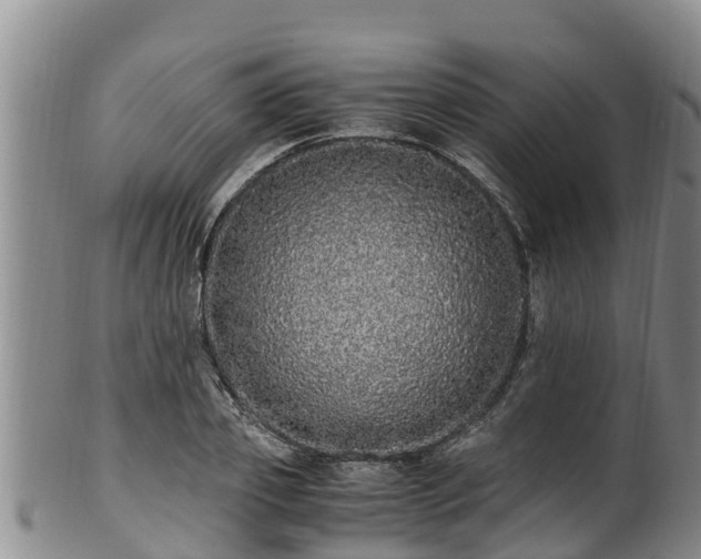 X0000100880933200806271134