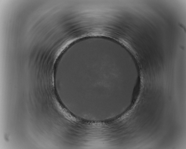 X0000100880934200806271134