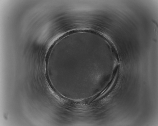 X0000100880935200806271134