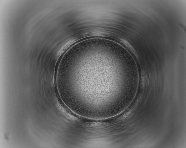 X0000100880938200806271134