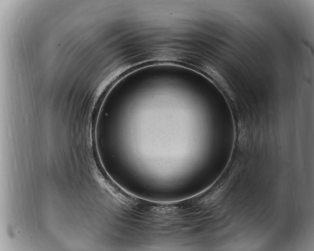 X0000100880939200806271134