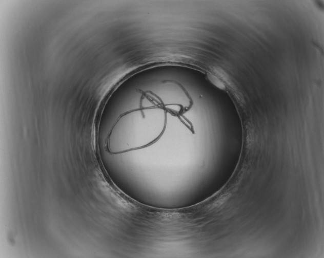 X0000100880940200806271134