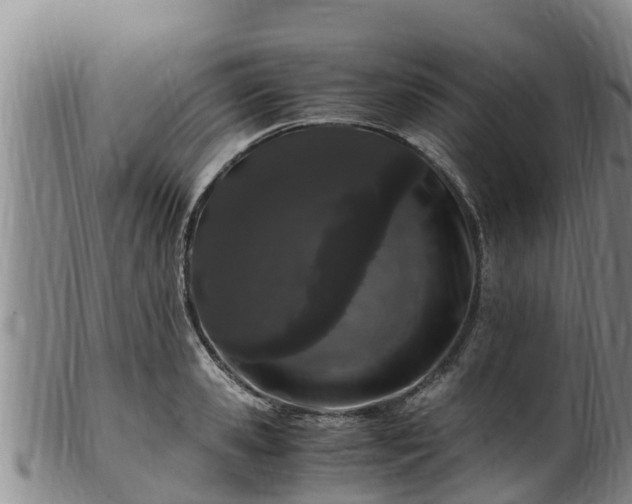 X0000100880941200806271134