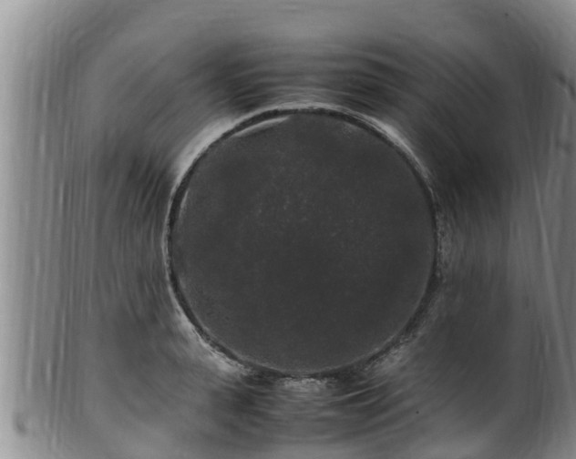 X0000100880943200806271134