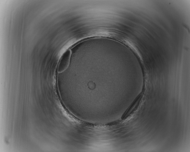 X0000100880944200806271134