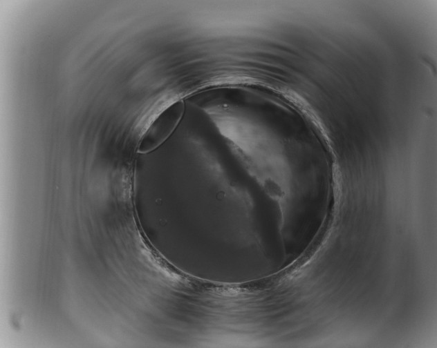 X0000100880945200806271134