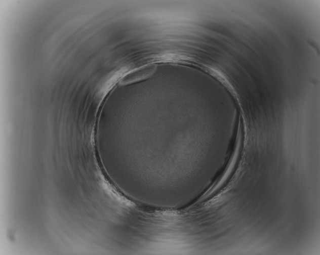 X0000100880946200806271134