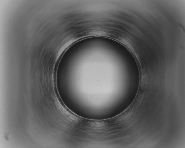 X0000100880947200806271134