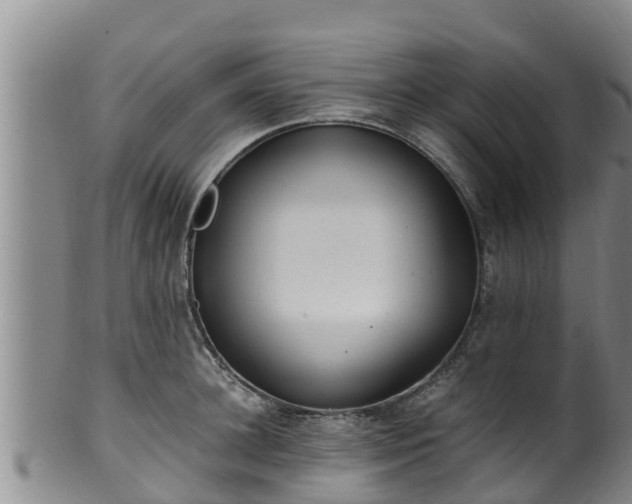 X0000100880948200806271134