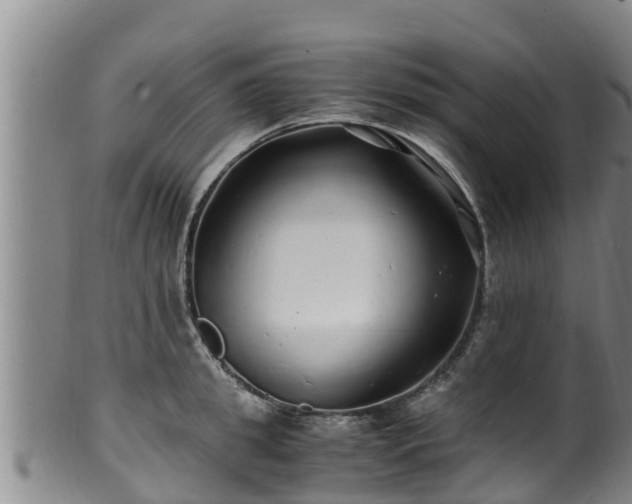 X0000100880949200806271134