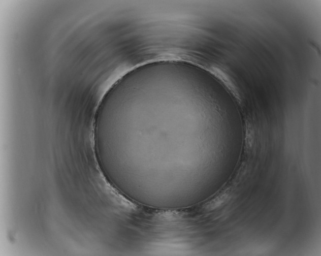 X0000100880950200806271134