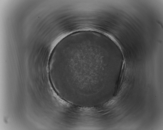 X0000100880951200806271134