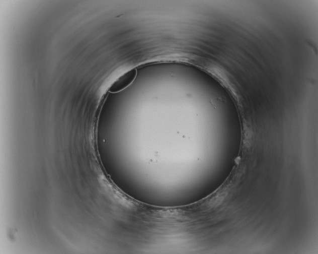 X0000100880952200806271134