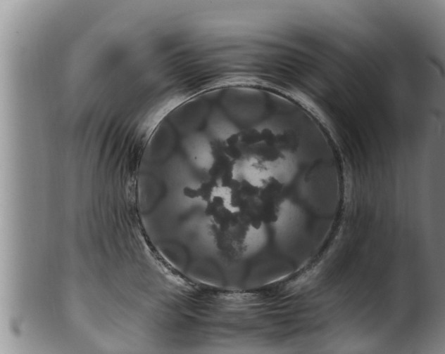 X0000100880953200806271134