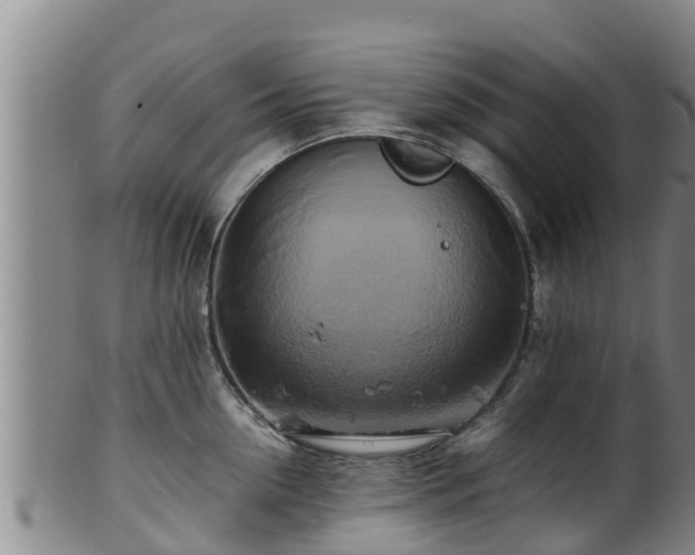 X0000100880954200806271134