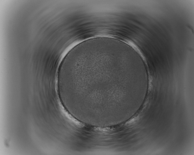 X0000100880955200806271134