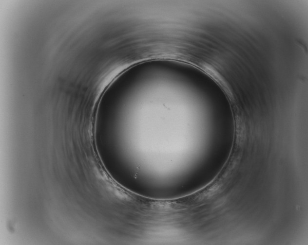 X0000100880956200806271134