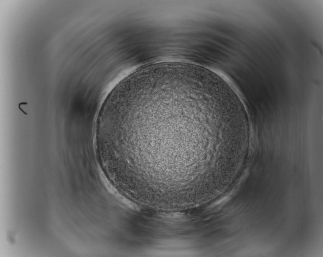 X0000100880957200806271134