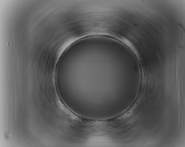 X0000100880958200806271134