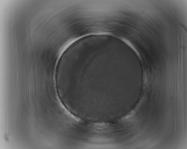 X0000100880959200806271134