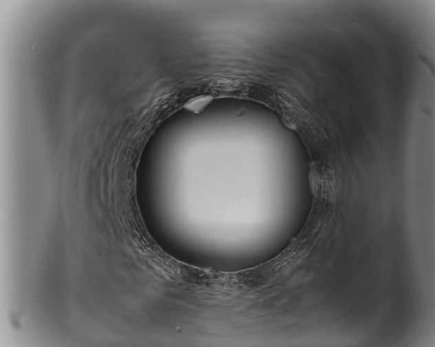 X0000100880961200806271133