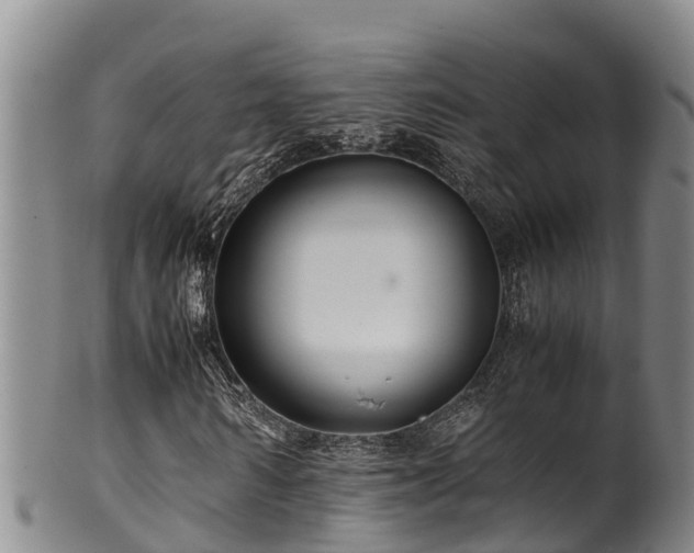 X0000100880962200806271133