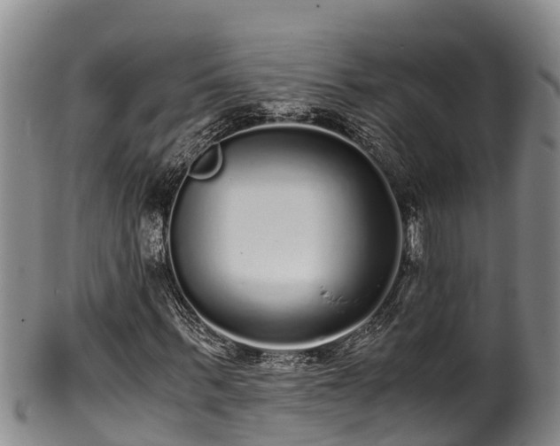 X0000100880963200806271133