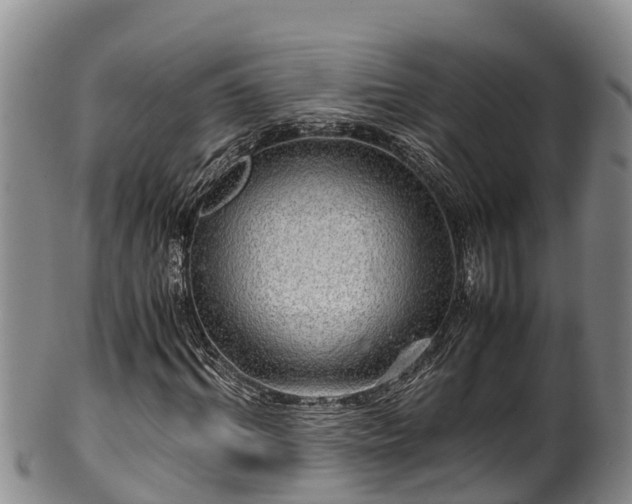 X0000100880964200806271133