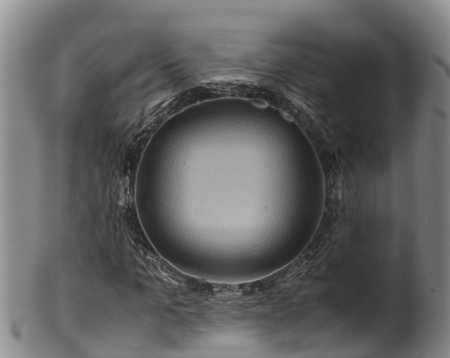 X0000100880965200806271133