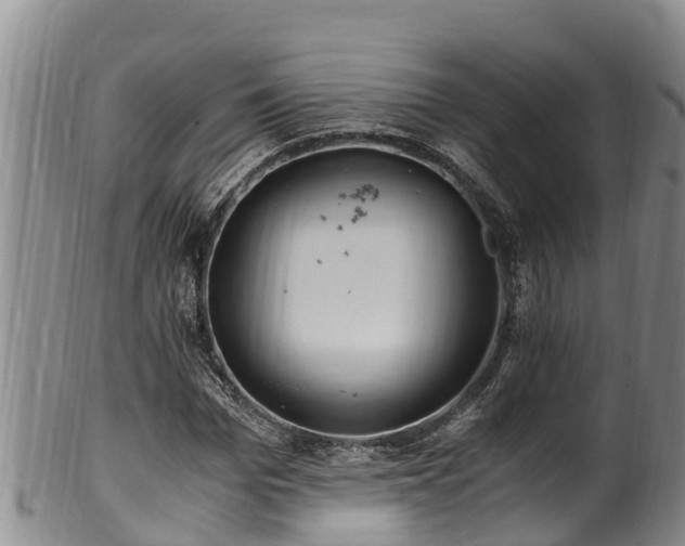 X0000100880969200806271133