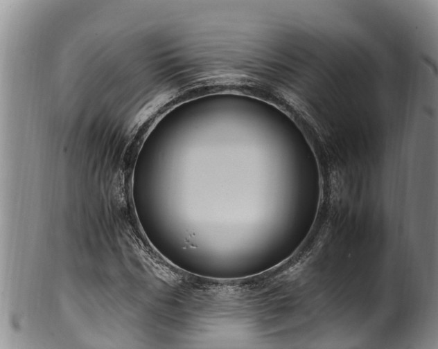 X0000100880970200806271133