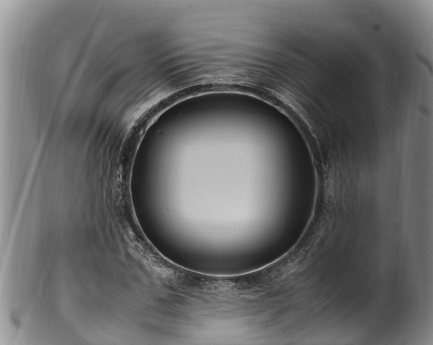 X0000100880971200806271133