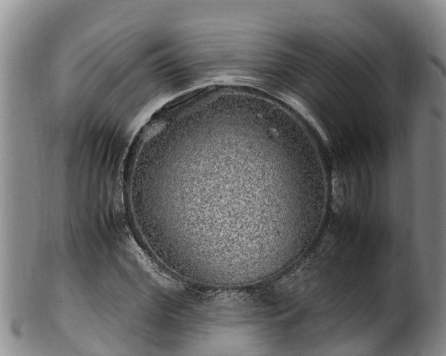 X0000100880972200806271133