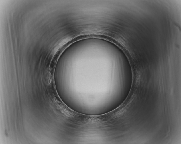 X0000100880974200806271133