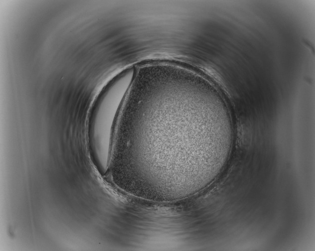 X0000100880976200806271133