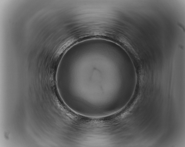 X0000100880977200806271133