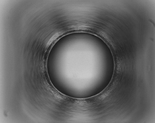 X0000100880978200806271133