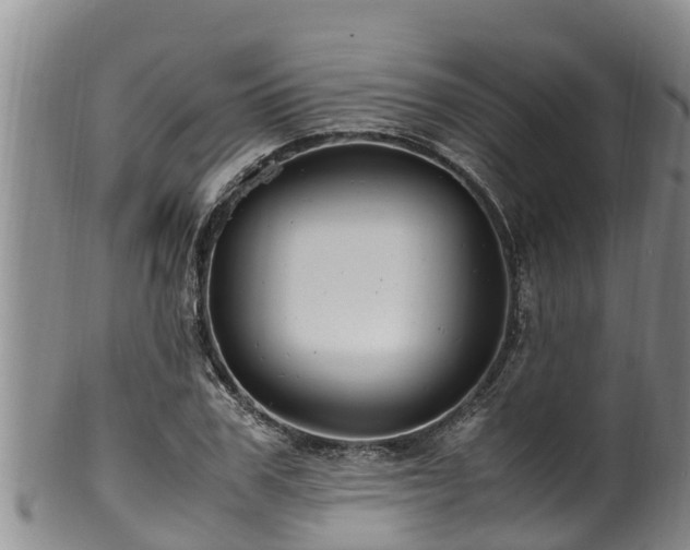 X0000100880979200806271133