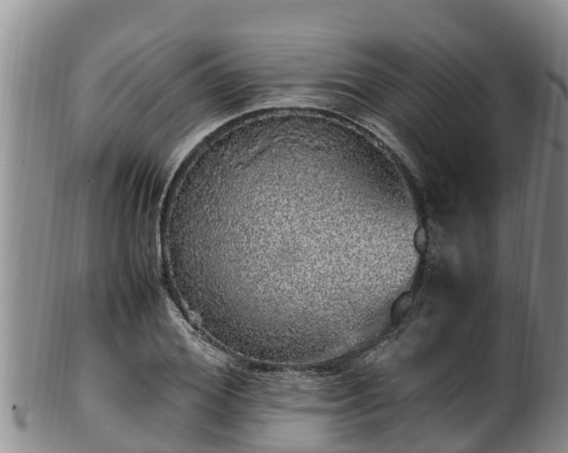 X0000100880980200806271133