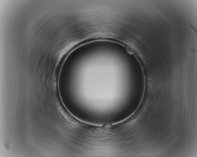 X0000100880981200806271133