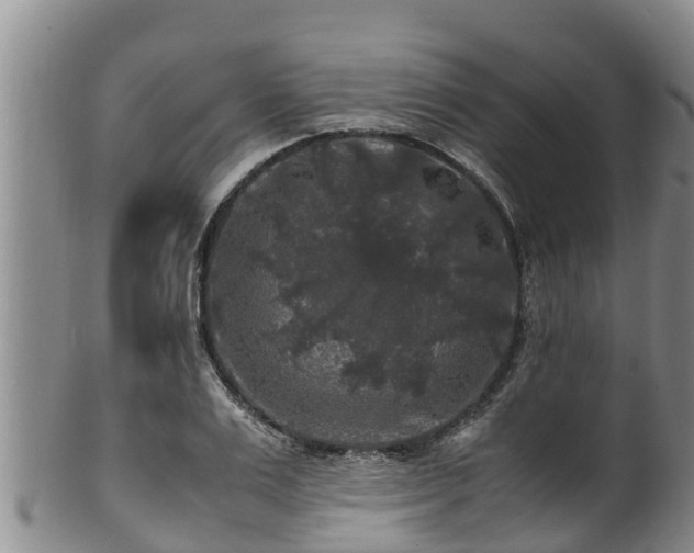 X0000100880983200806271133