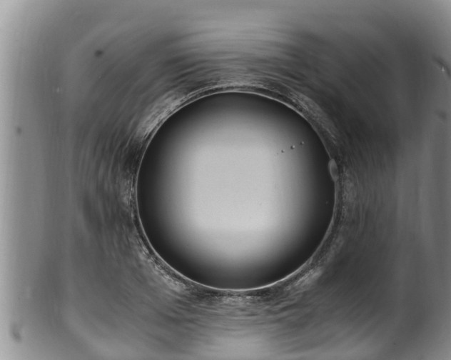 X0000100880985200806271133