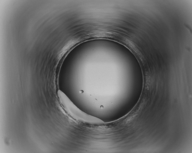 X0000100880986200806271133