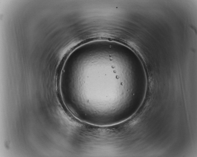 X0000100880987200806271133