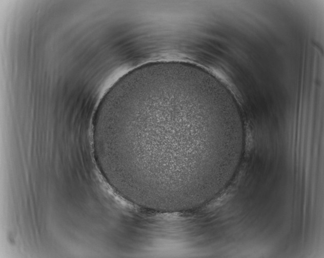 X0000100880990200806271133