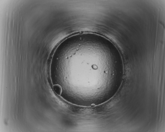 X0000100880991200806271133