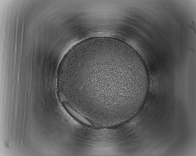 X0000100880992200806271133