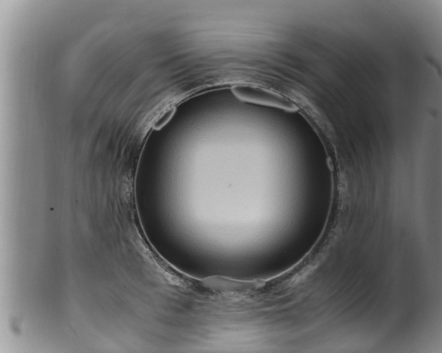 X0000100880993200806271133