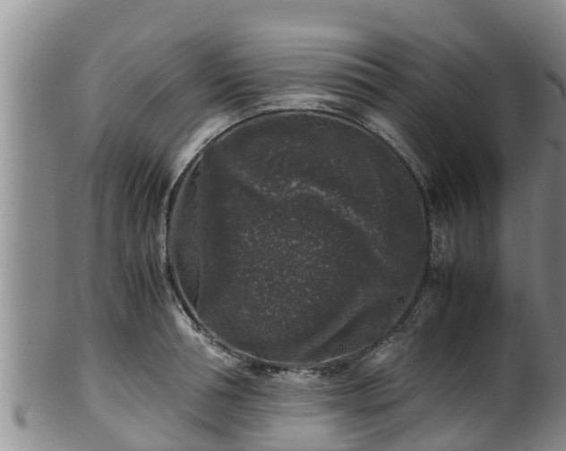 X0000100880994200806271133